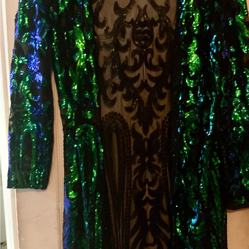 Sequin Embellished Long Jacket in Green and Blue